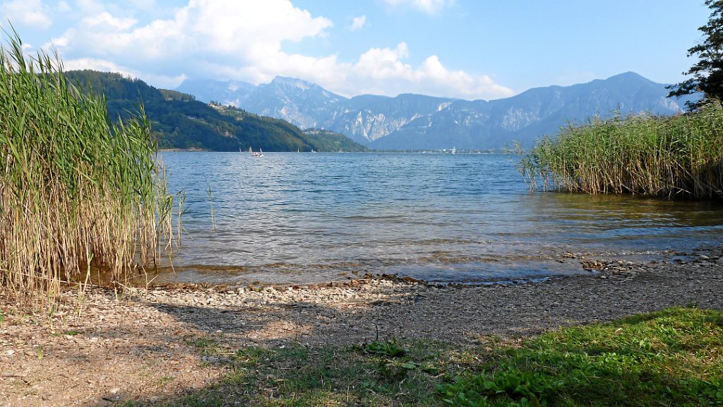 2011-08-02 17.09.37.jpg